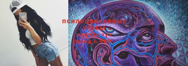 прущий лед Армянск