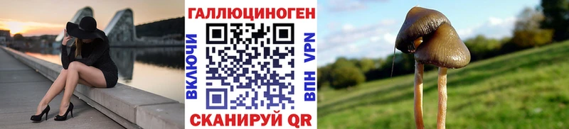 MEGA как зайти  магазин продажи   Светлоград  Галлюциногенные грибы GOLDEN TEACHER 